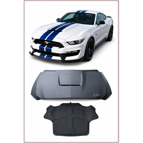 ALUMINUM HOOD – FORD MUSTANG 2015 2016 2017 GT350 STYLE