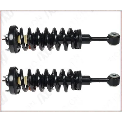 2X AMMORTIZZATORI ANTERIORI CON MOLLE ELICOIDALI E SUPPORTI PER FORD F-150 F150 ...