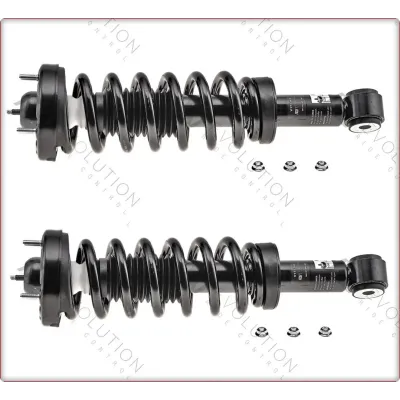 2X AMMORTIZZATORI ANTERIORI CON MOLLE ELICOIDALI E SUPPORTI PER FORD F-150 F150 ...