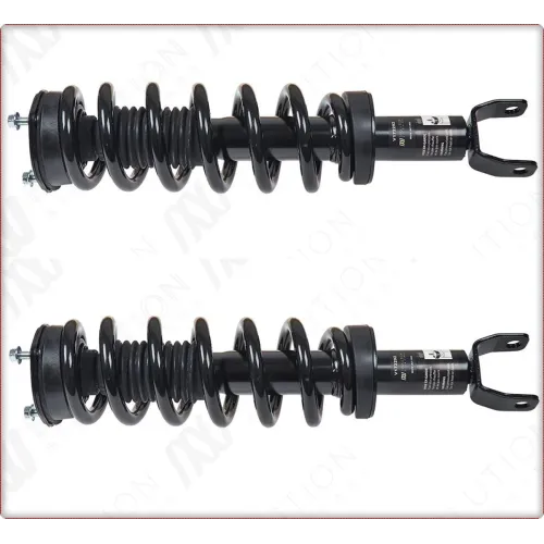 2X AMMORTIZZATORI ANTERIORI CON MOLLE ELICOIDALI E SUPPORTI PER DODGE RAM 1500 2009 - 2024 4WD
