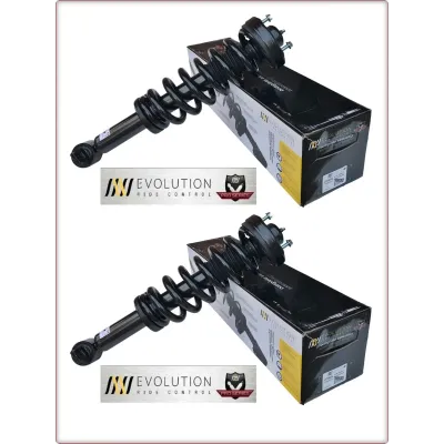 2X AMMORTIZZATORI ANTERIORI CON MOLLE ELICOIDALI E SUPPORTI PER FORD F-150 F150 ...