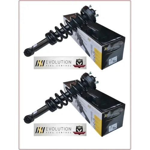 2X AMMORTIZZATORI ANTERIORI CON MOLLE ELICOIDALI E SUPPORTI PER FORD F-150 F150 2015 - 2020 4WD