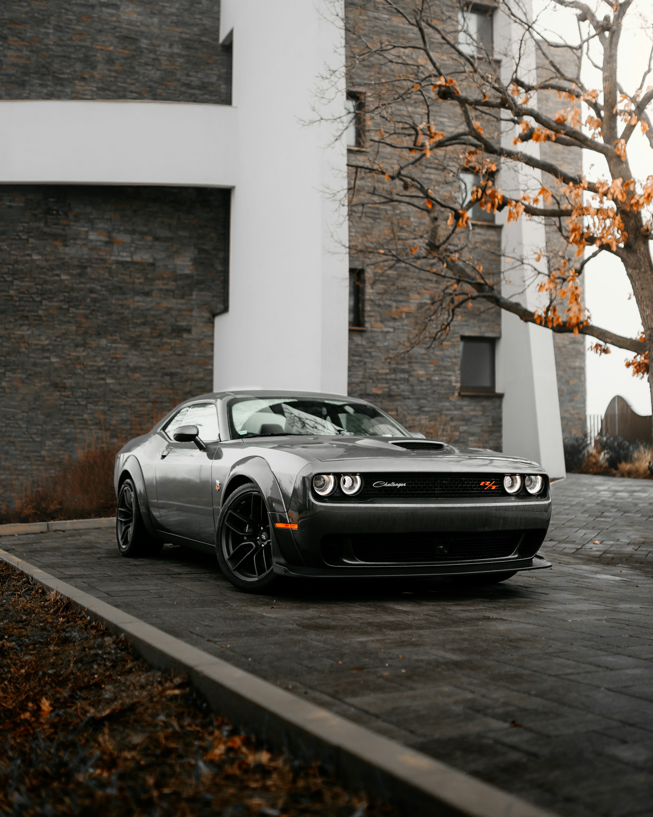 Dodge Challenger vor moderner Architektur – US-Car-Inspiration