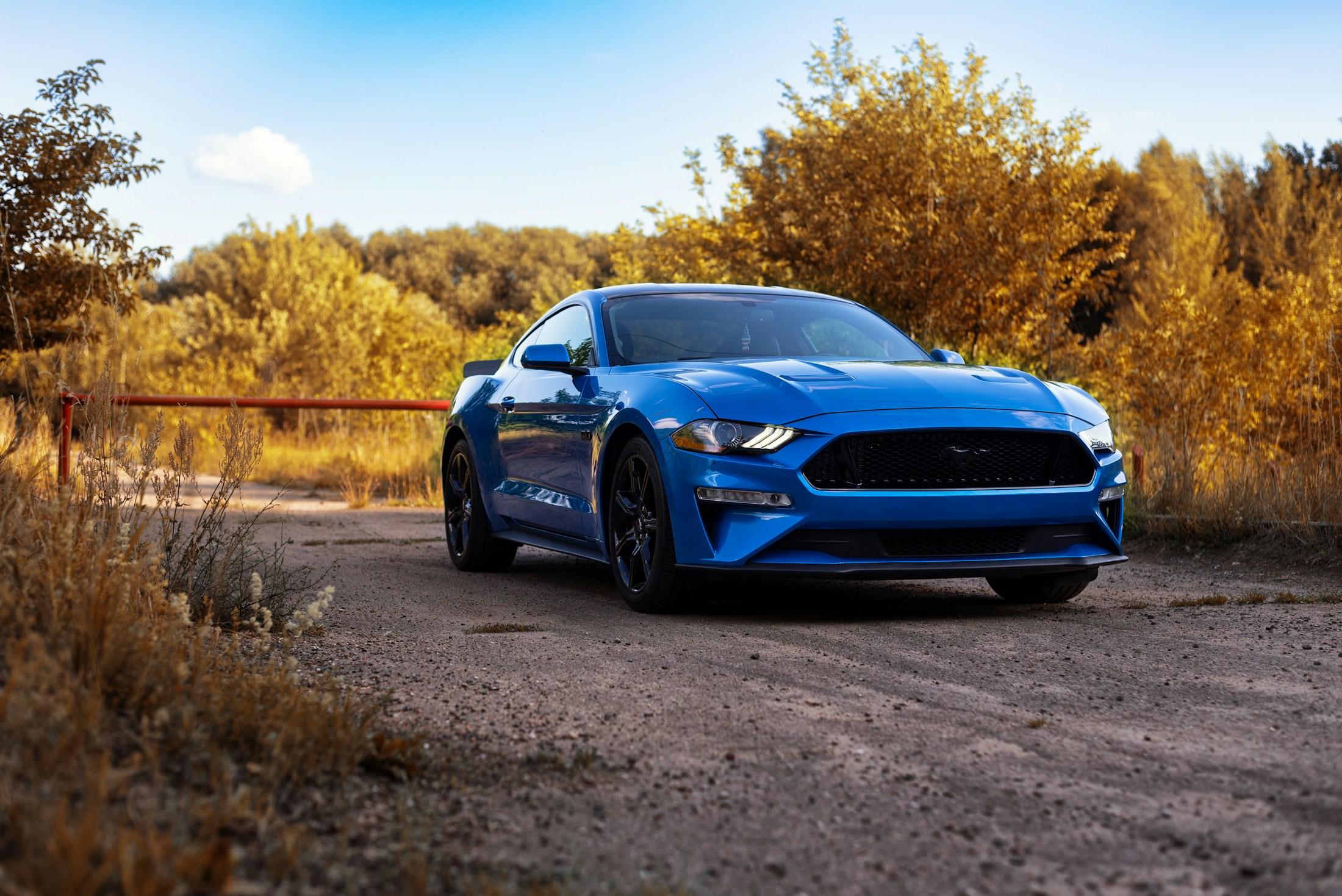 Blauer Ford Mustang im Herbst – US-Car-Inspiration